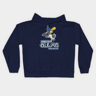 Defunct Schenectady Bluejays Baseball Team Kids Hoodie